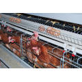 Layer Cages in Poultry House for Chicken with Low Price